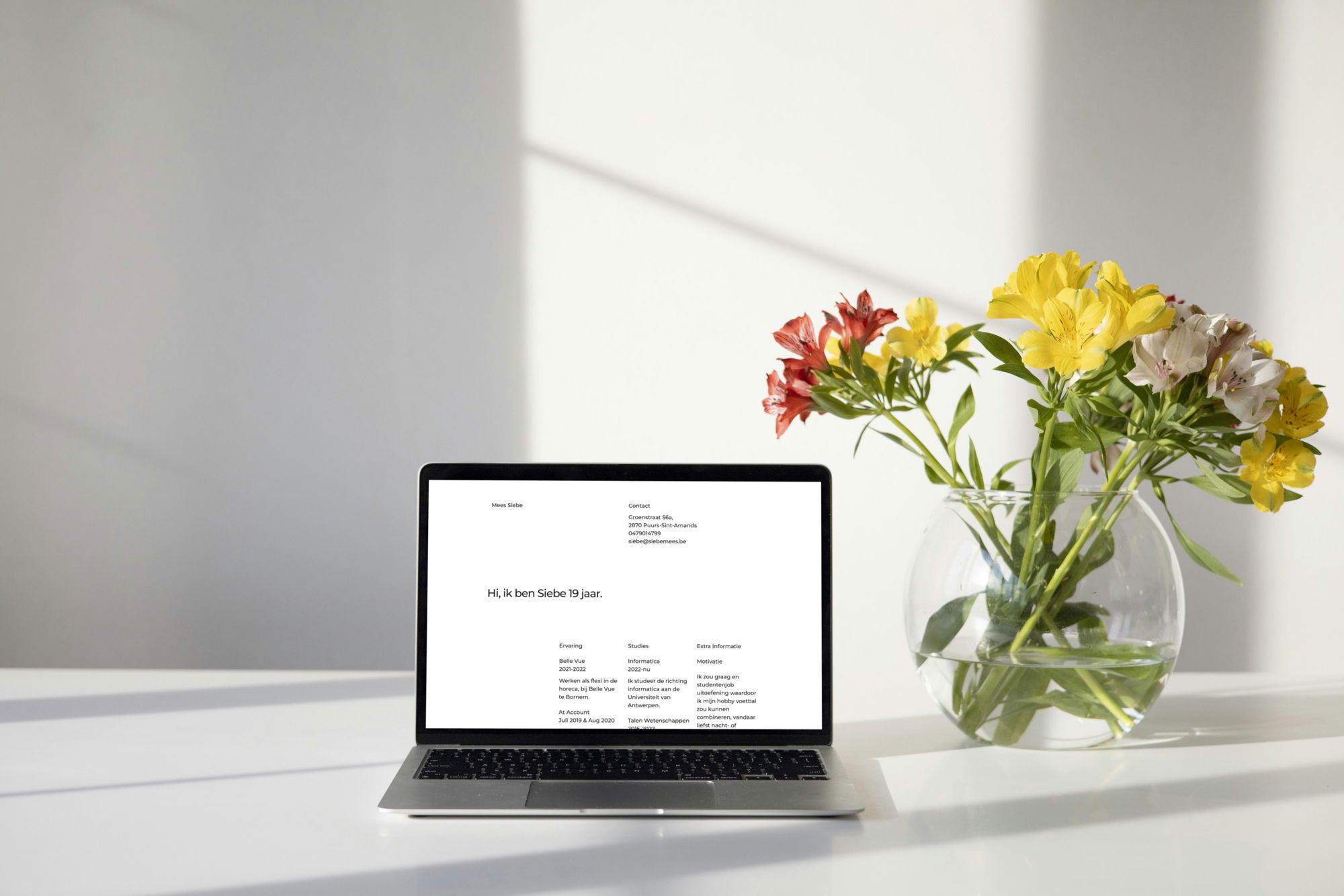 siebemees-mockup.jpg